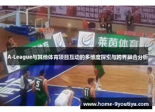 A-League与其他体育项目互动的多维度探索与跨界融合分析