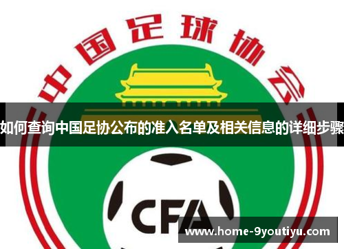 如何查询中国足协公布的准入名单及相关信息的详细步骤
