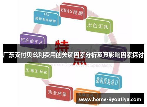 广东支付贝兹利费用的关键因素分析及其影响因素探讨