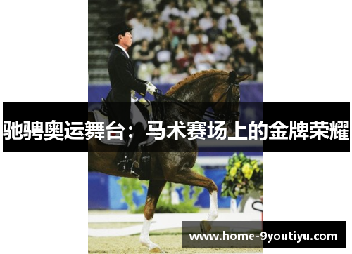 驰骋奥运舞台：马术赛场上的金牌荣耀