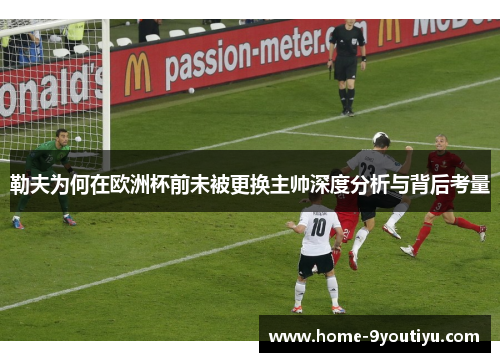 勒夫为何在欧洲杯前未被更换主帅深度分析与背后考量